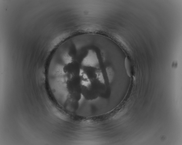 X0000092320634200709281407