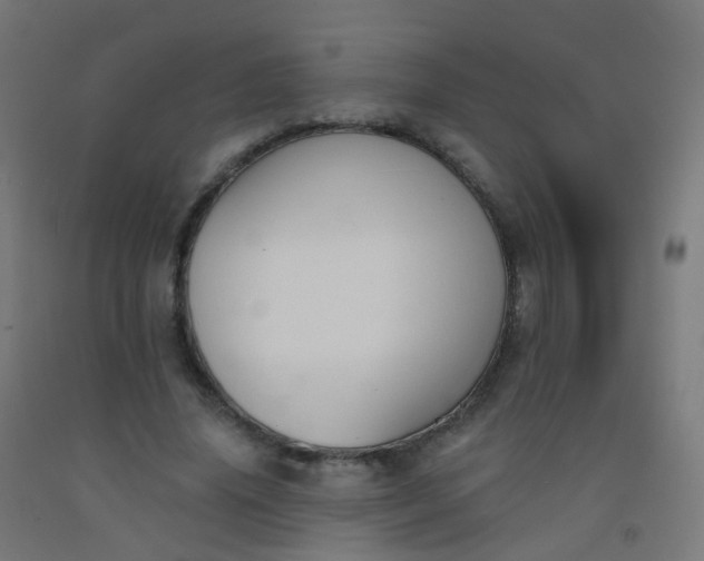X0000092320636200709281407