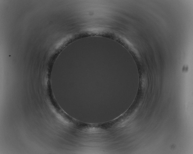 X0000092320637200709281407