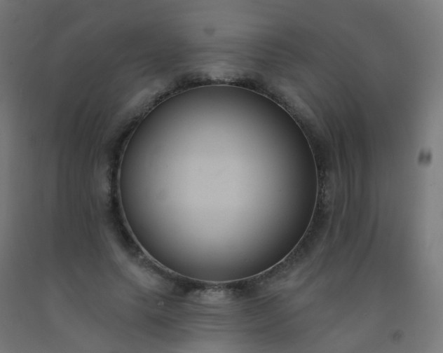X0000092320639200709281407