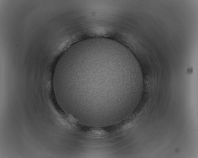 X0000092320642200709281407
