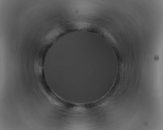 X0000092320644200709281407