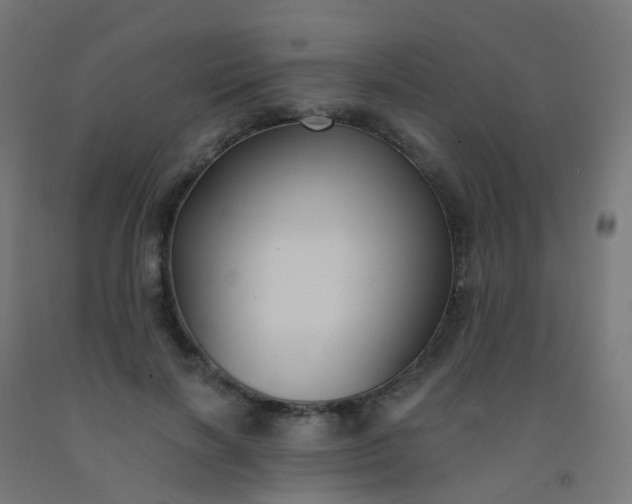 X0000092320646200709281407