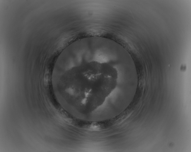 X0000092320647200709281407