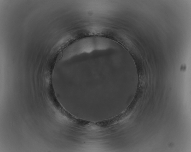 X0000092320648200709281407