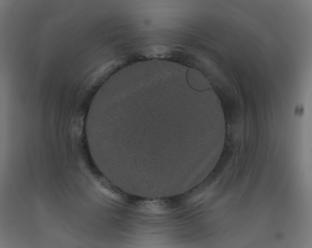 X0000092320652200709281407