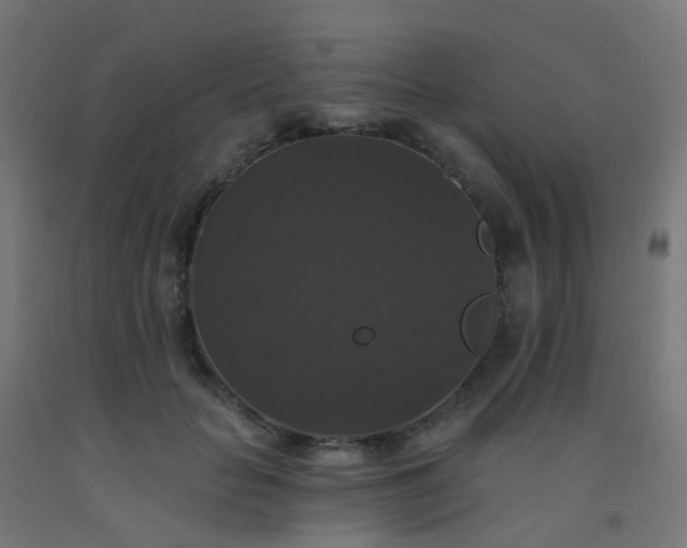 X0000092320653200709281407