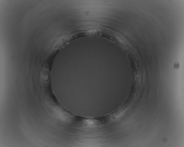 X0000092320654200709281407