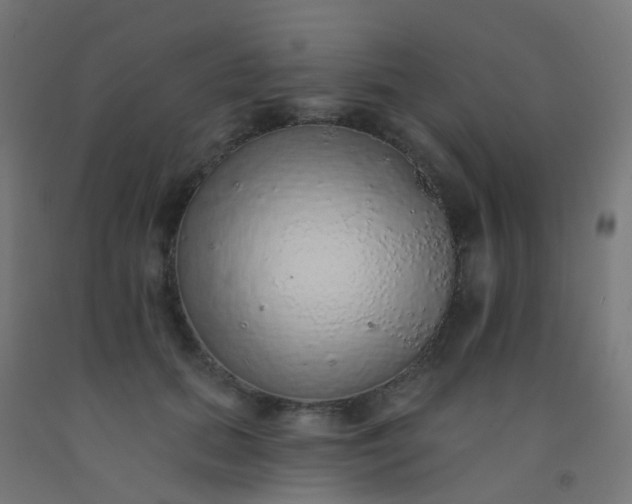 X0000092320655200709281407