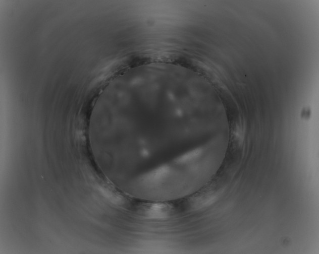 X0000092320663200709281407