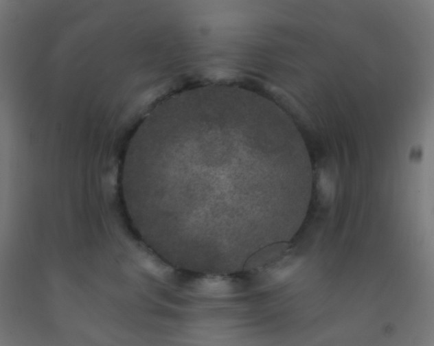 X0000092320668200709281407