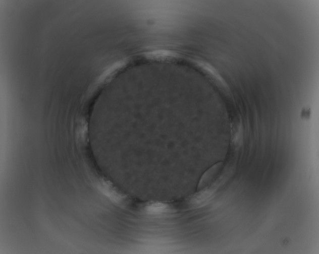 X0000092320669200709281407