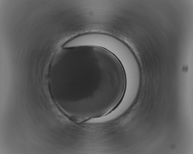 X0000092320673200709281406