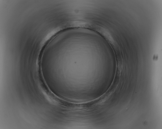 X0000092320674200709281406