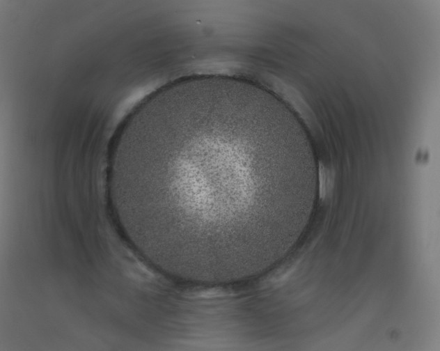 X0000092320675200709281406
