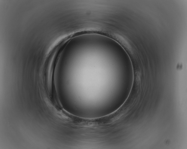 X0000092320676200709281406