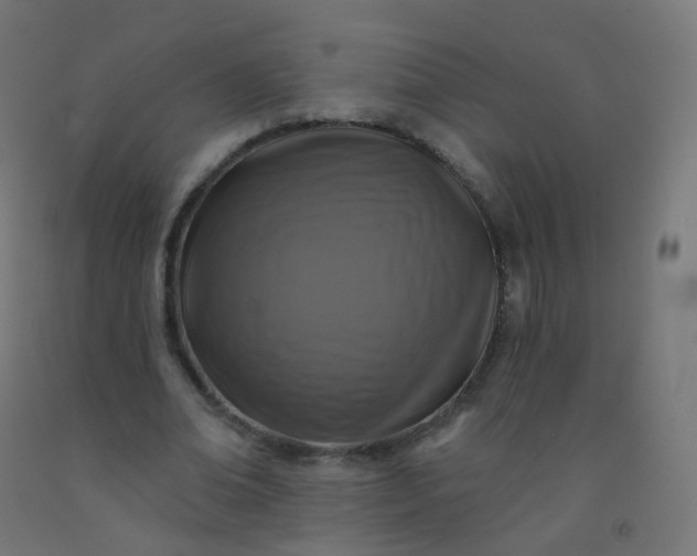 X0000092320678200709281406