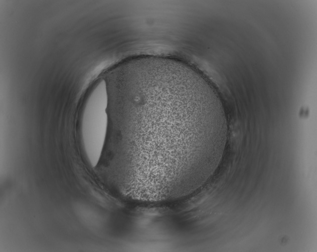 X0000092320679200709281406
