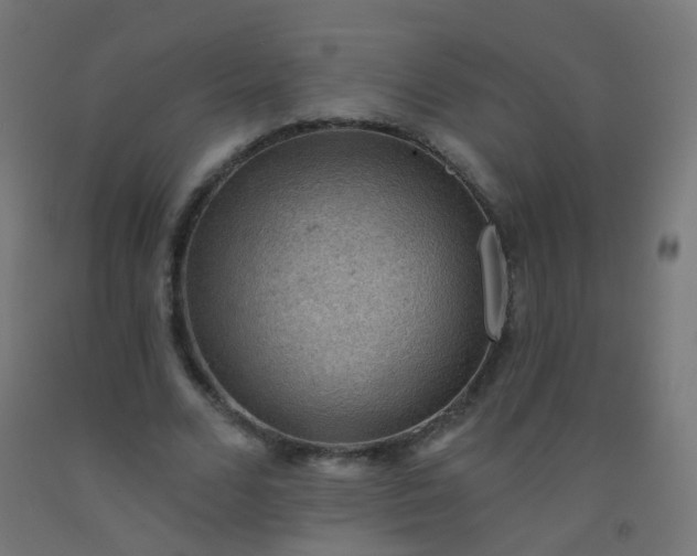 X0000092320680200709281406