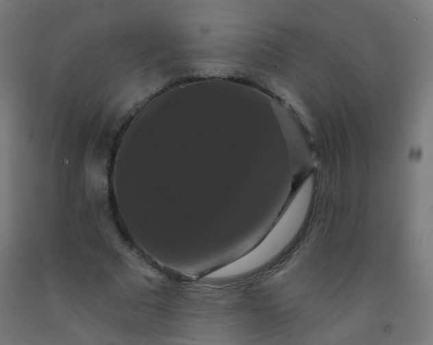 X0000092320681200709281406
