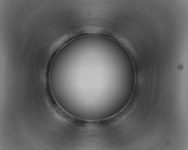 X0000092320682200709281406