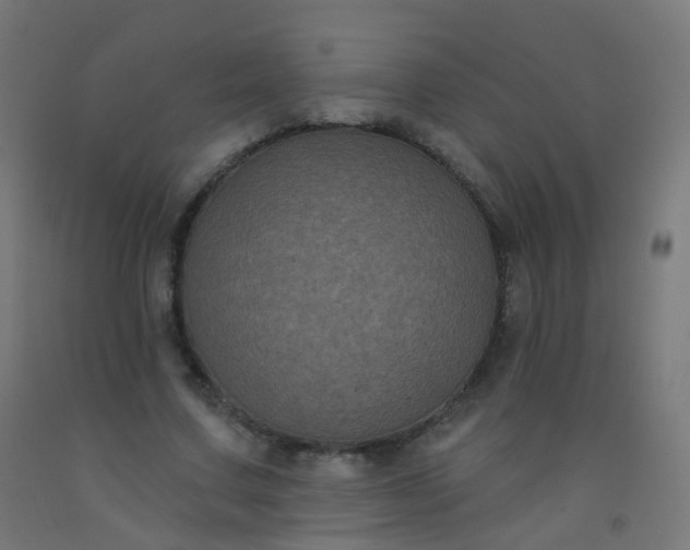 X0000092320683200709281406