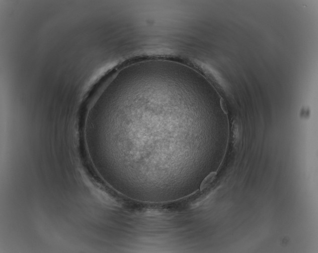X0000092320684200709281406