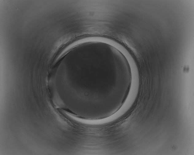 X0000092320685200709281406