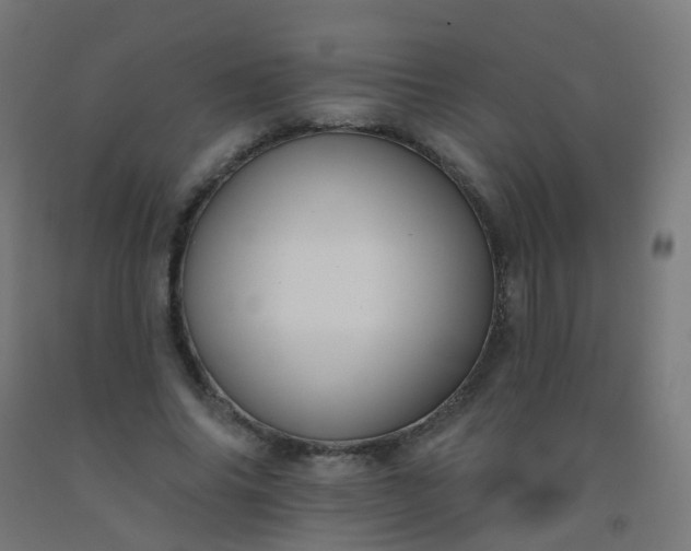X0000092320686200709281406