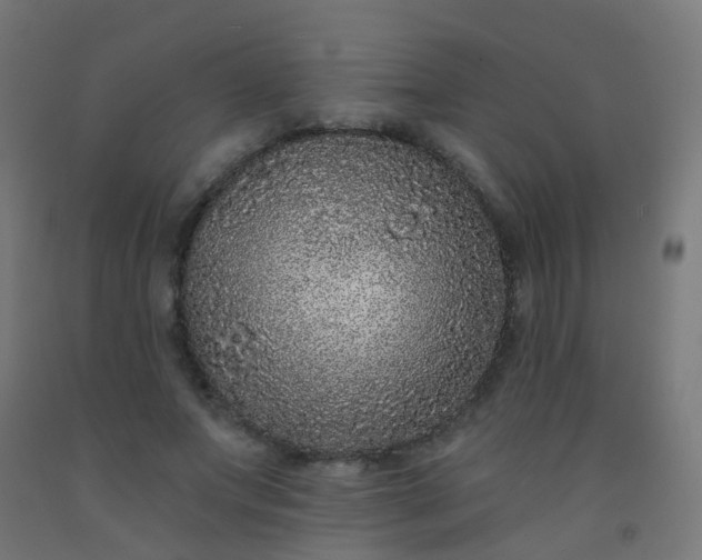 X0000092320687200709281406