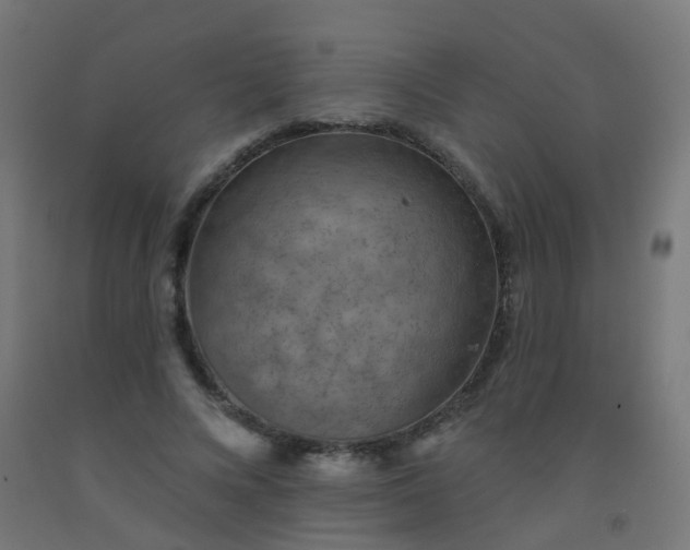 X0000092320688200709281406