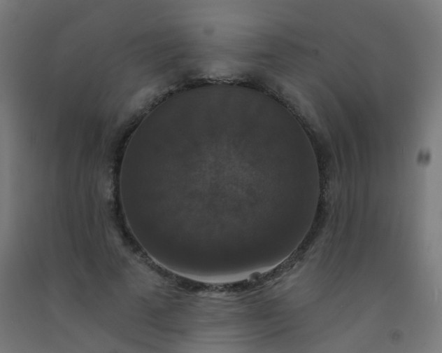 X0000092320689200709281406