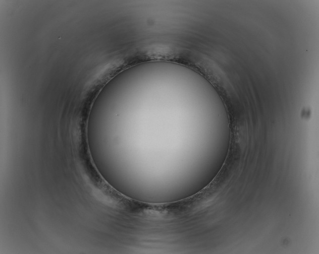 X0000092320690200709281406