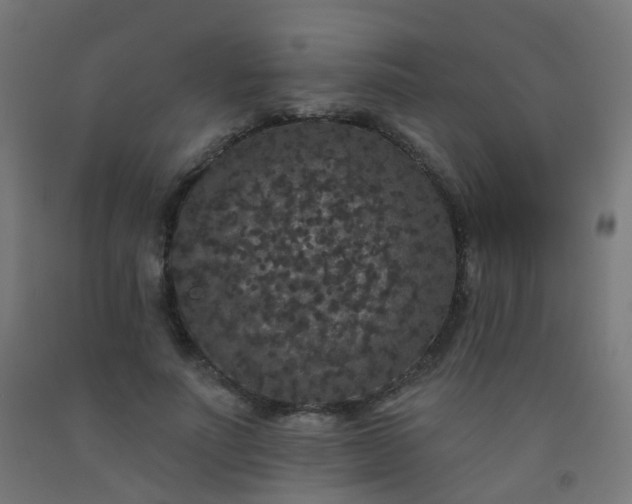 X0000092320691200709281406