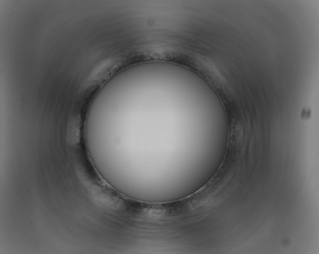 X0000092320694200709281406