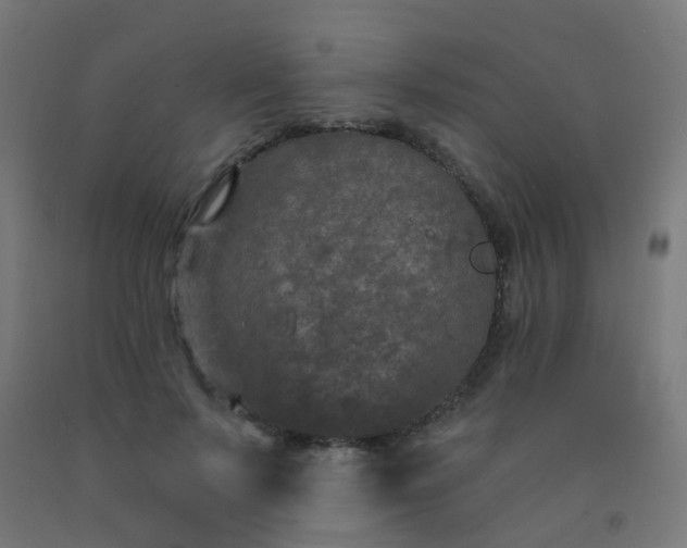 X0000092320695200709281406