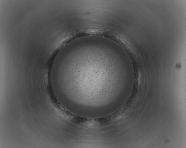 X0000092320696200709281406