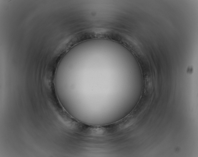 X0000092320698200709281406
