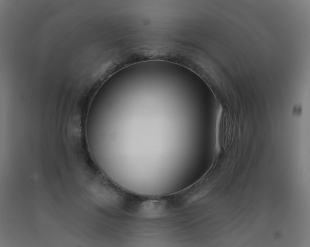 X0000092320700200709281406