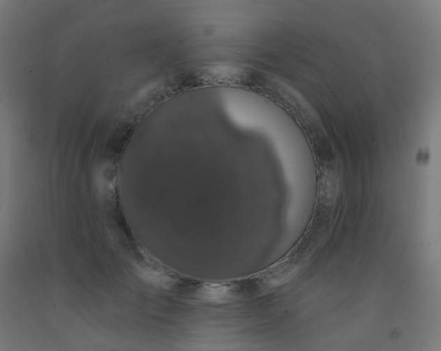 X0000092320701200709281406