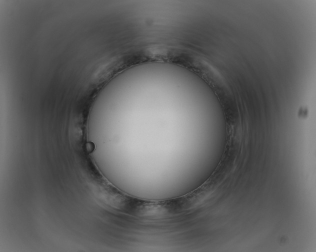 X0000092320702200709281406