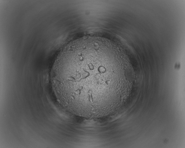 X0000092320703200709281406