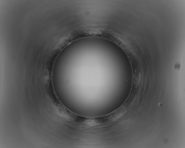 X0000092320704200709281406