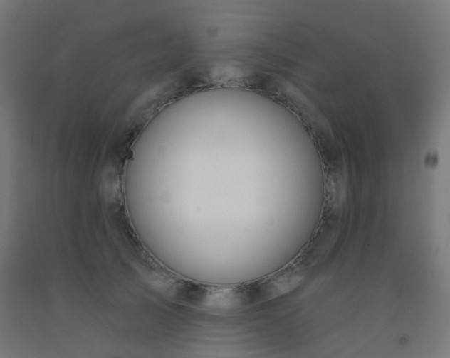 X0000092320705200709281406