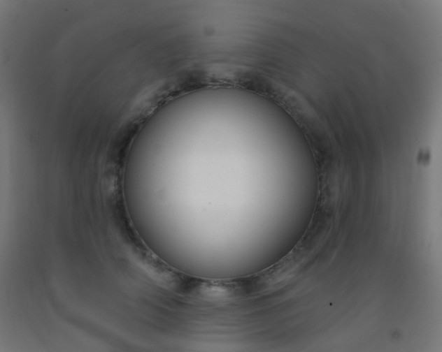 X0000092320706200709281406