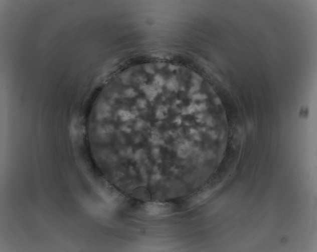 X0000092320707200709281406