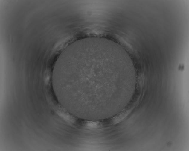 X0000092320709200709281406