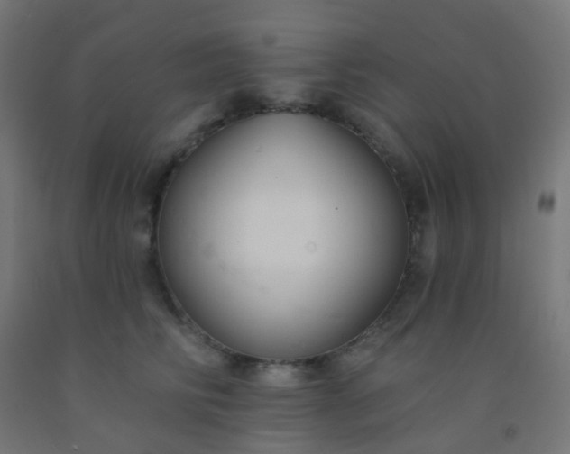 X0000092320710200709281406