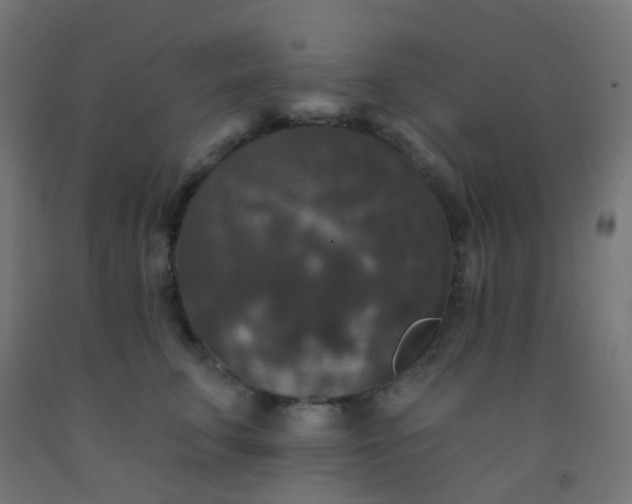 X0000092320711200709281406