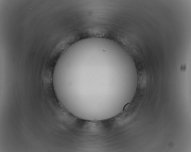 X0000092320713200709281406